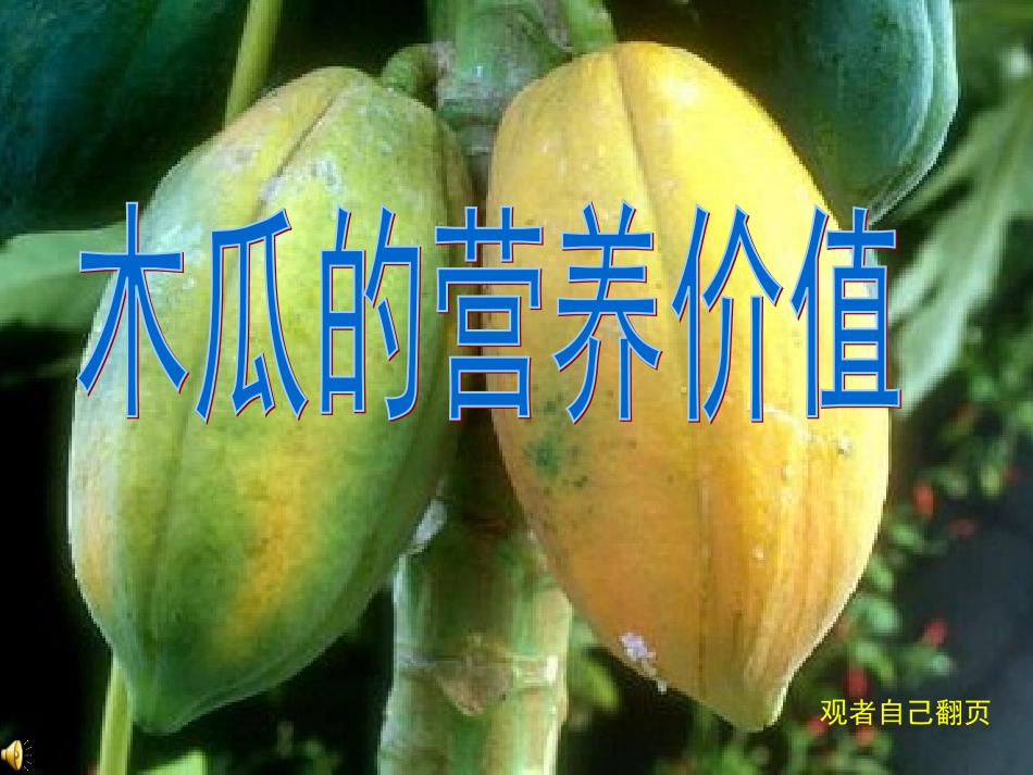 果实含大量丰富的胡萝卜素蛋白质_第1页