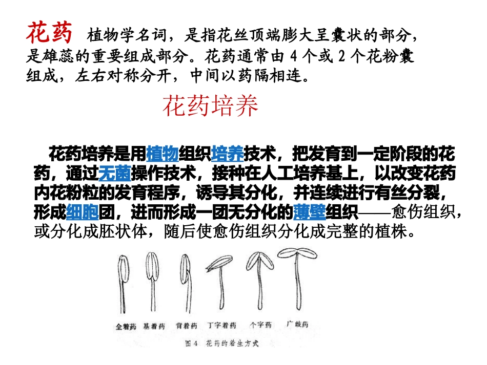 月季的花药培养MicrosoftPowerPoint幻灯片_第3页