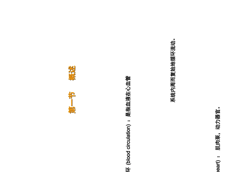 最新第七章血液循环-PPT文档_第1页