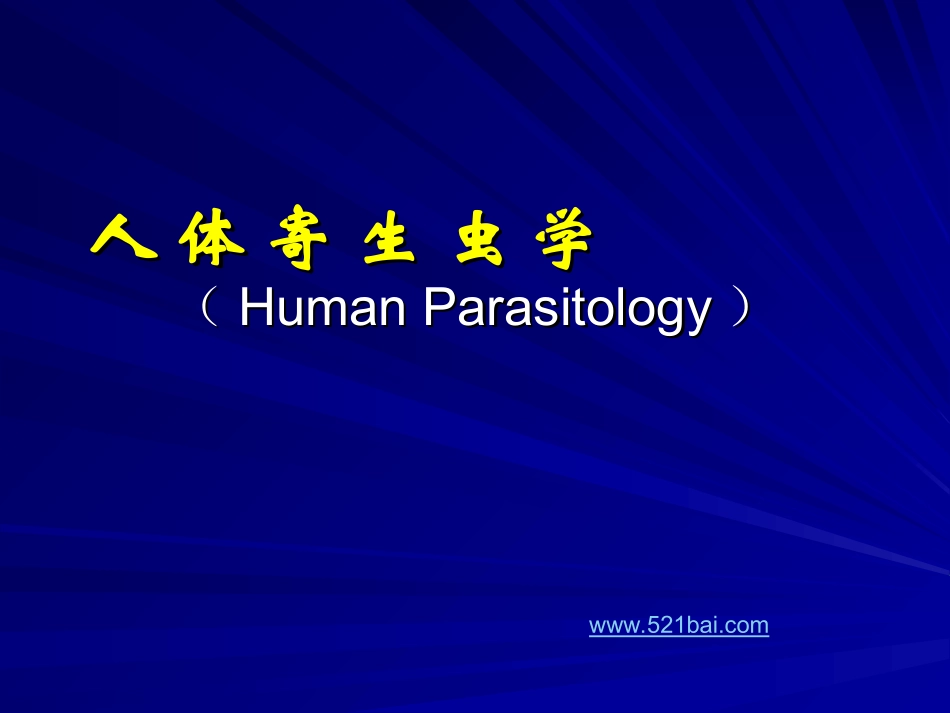 曼氏迭宫ppt_第1页