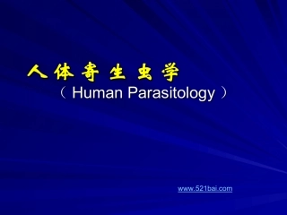 曼氏迭宫ppt