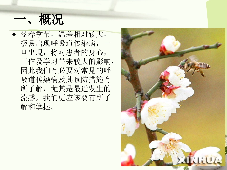 春季呼吸道传染病防治_第3页