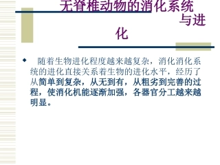 无脊椎动物消化系统比较剖析