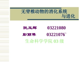 无脊椎动物的消化系统与进化