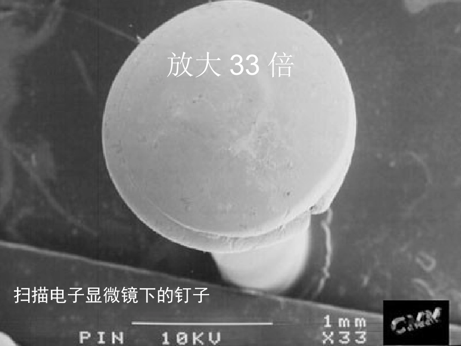 无处不在的细菌_第1页