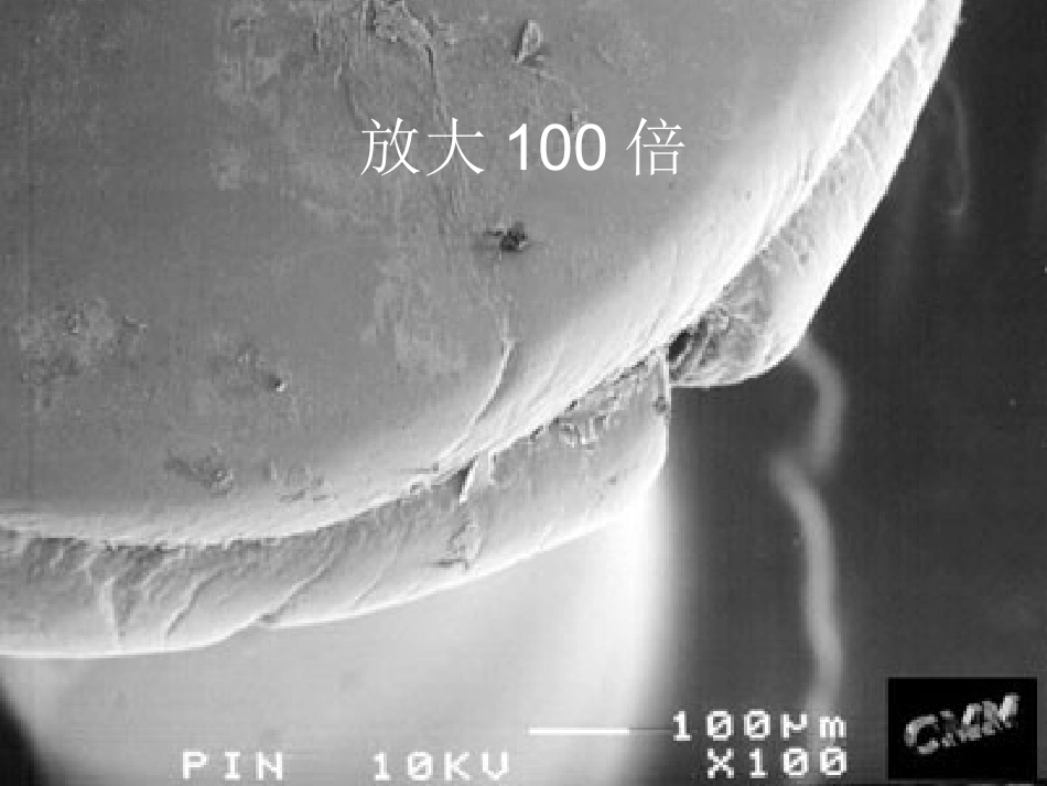 无处不在的细菌_第2页