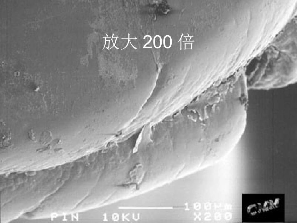 无处不在的细菌_第3页