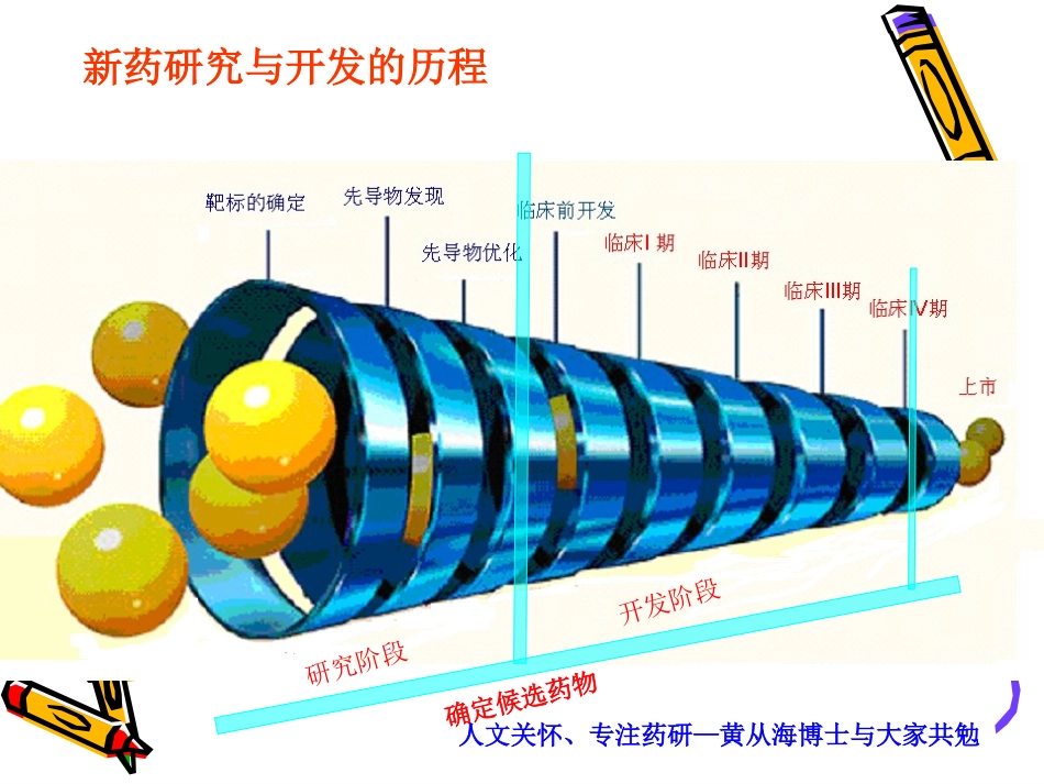 新药研发过程_第3页
