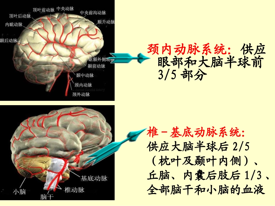 新科普高血压脑卒中_第3页