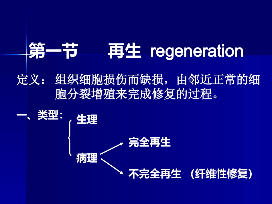 新生的毛细血管增生的纤维母细胞一定量的炎性细胞肉芽组织的结构_第2页