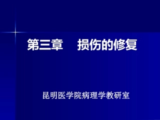新生的毛细血管增生的纤维母细胞一定量的炎性细胞肉芽组织的结构