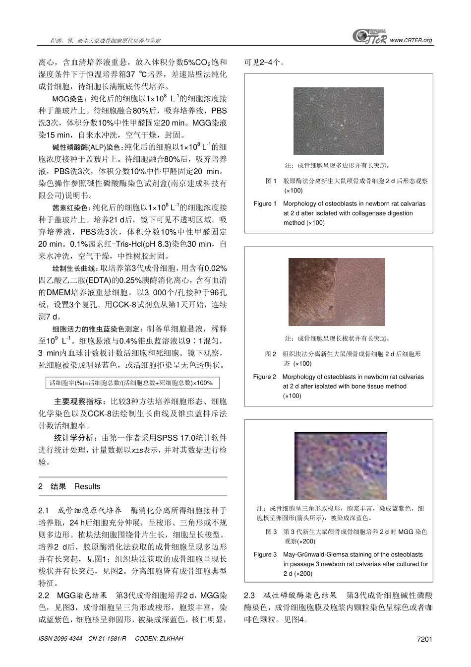新生大鼠成骨细胞原代培养与鉴定_第3页