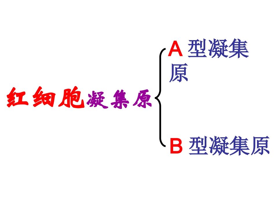 新教材-输血与血型-佛山谢永红_第3页