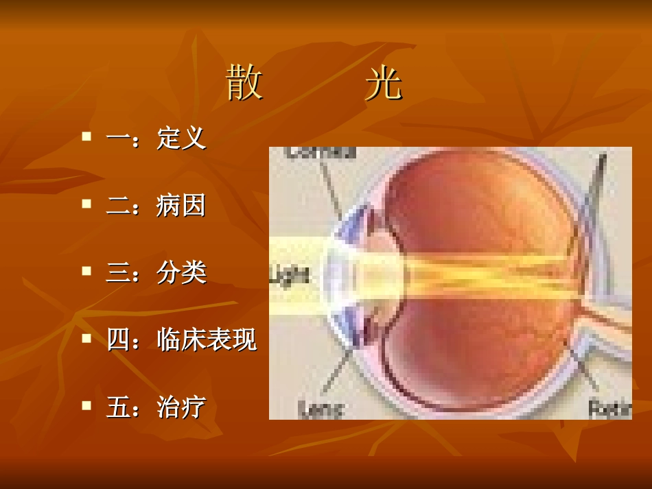 散  光.ppt1_第2页