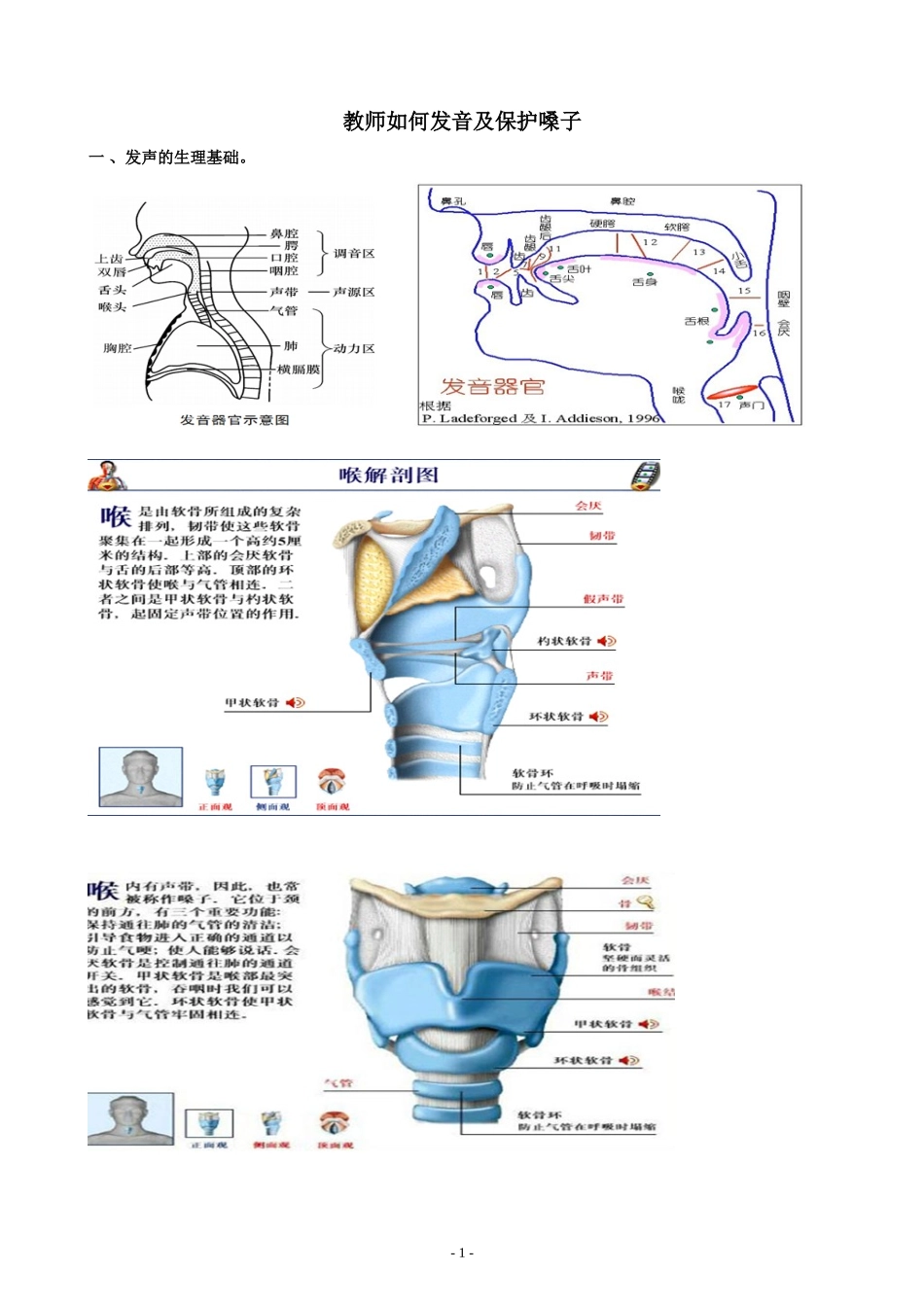 教师如何发音及保护嗓子_第1页