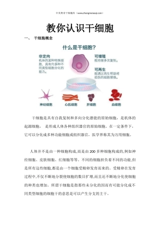 教你认识干细胞
