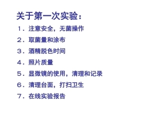 放线菌形态观察