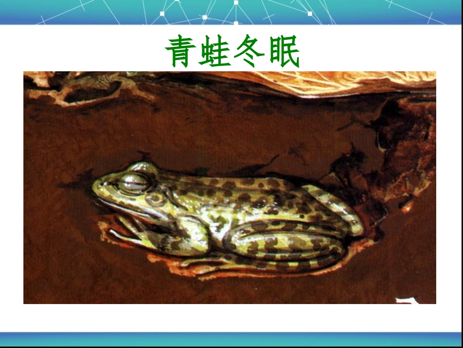 探究光对鼠妇生活的影响_第3页