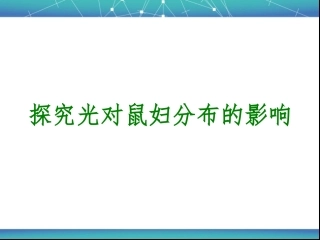 探究光对鼠妇生活的影响
