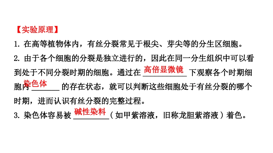 探究实践-观察根尖分生组织细胞的有丝分裂(2019年新教材人教版必修1第6章)_第3页