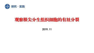 探究实践-观察根尖分生组织细胞的有丝分裂(2019年新教材人教版必修1第6章)