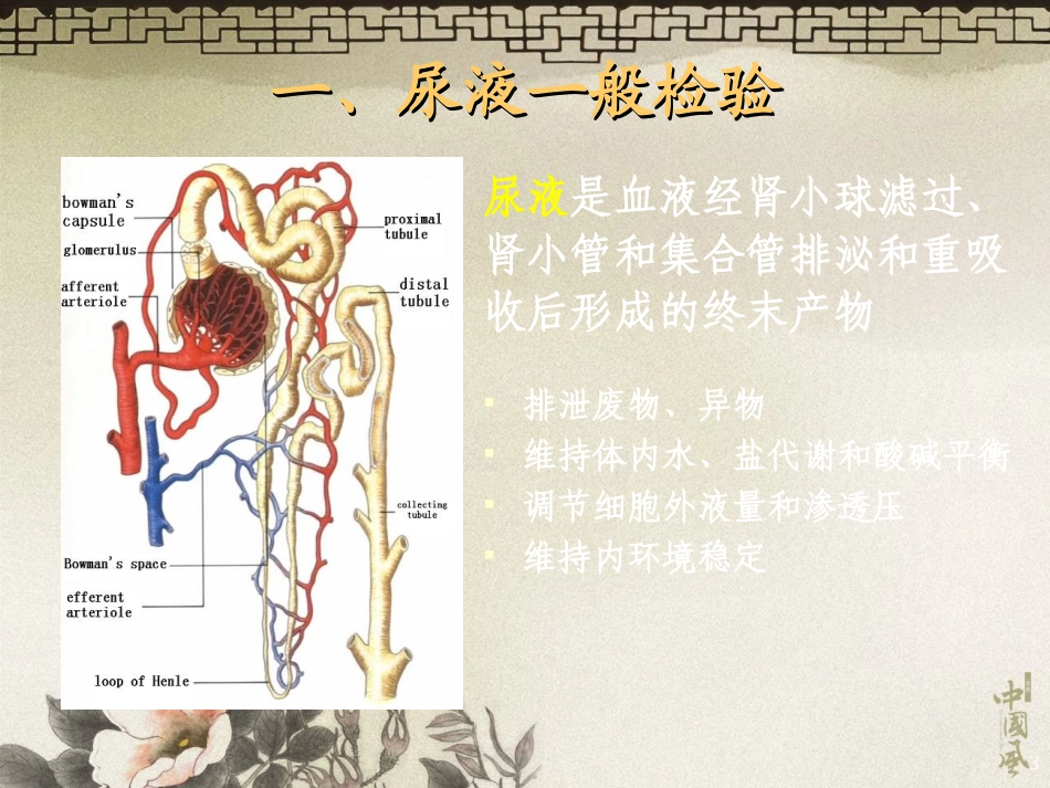 排泄物、分泌物及体液检验.ppt_第3页