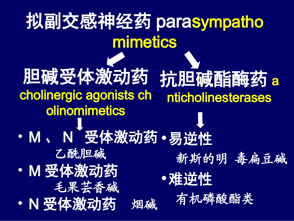 拟副交感神经药_第2页