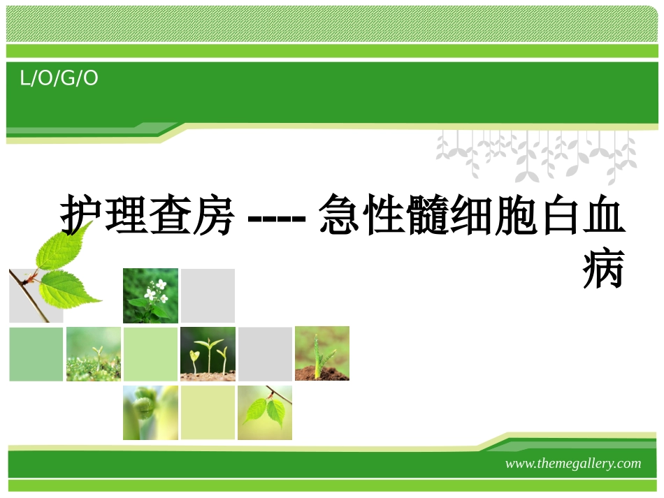 护理查房——急性髓系白血病_第1页