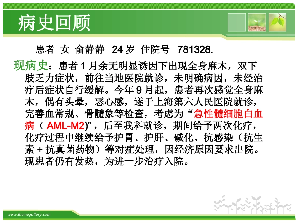护理查房——急性髓系白血病_第3页