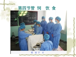 护理学基础 管饲饮食