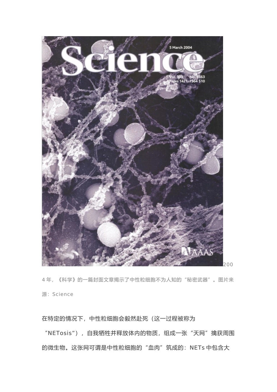 抗菌天网 中性粒细胞_第3页