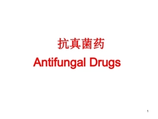 抗真菌药AntifungalDrugs