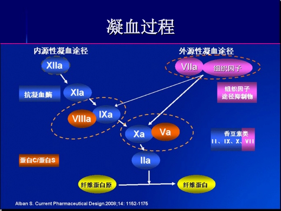 抗凝药及抗血小板_第2页