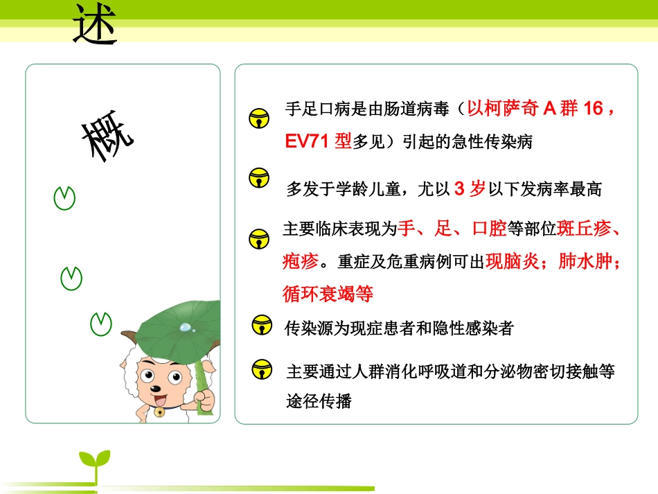 手足口病教学查房1_第3页