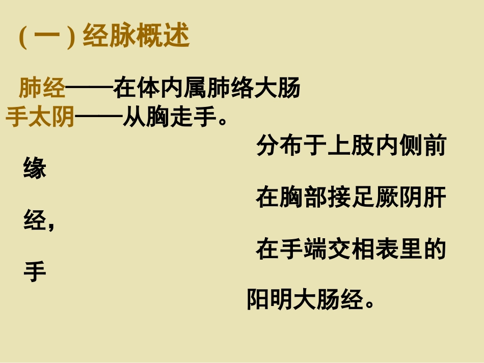 手太阴肺经11_第3页