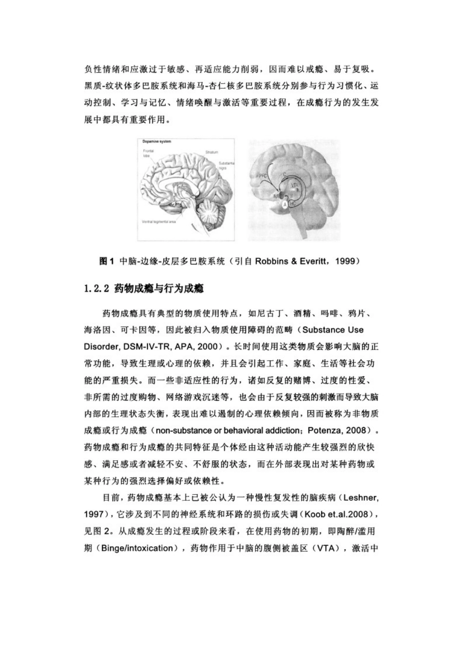 成瘾与大脑奖赏系统分析_第3页