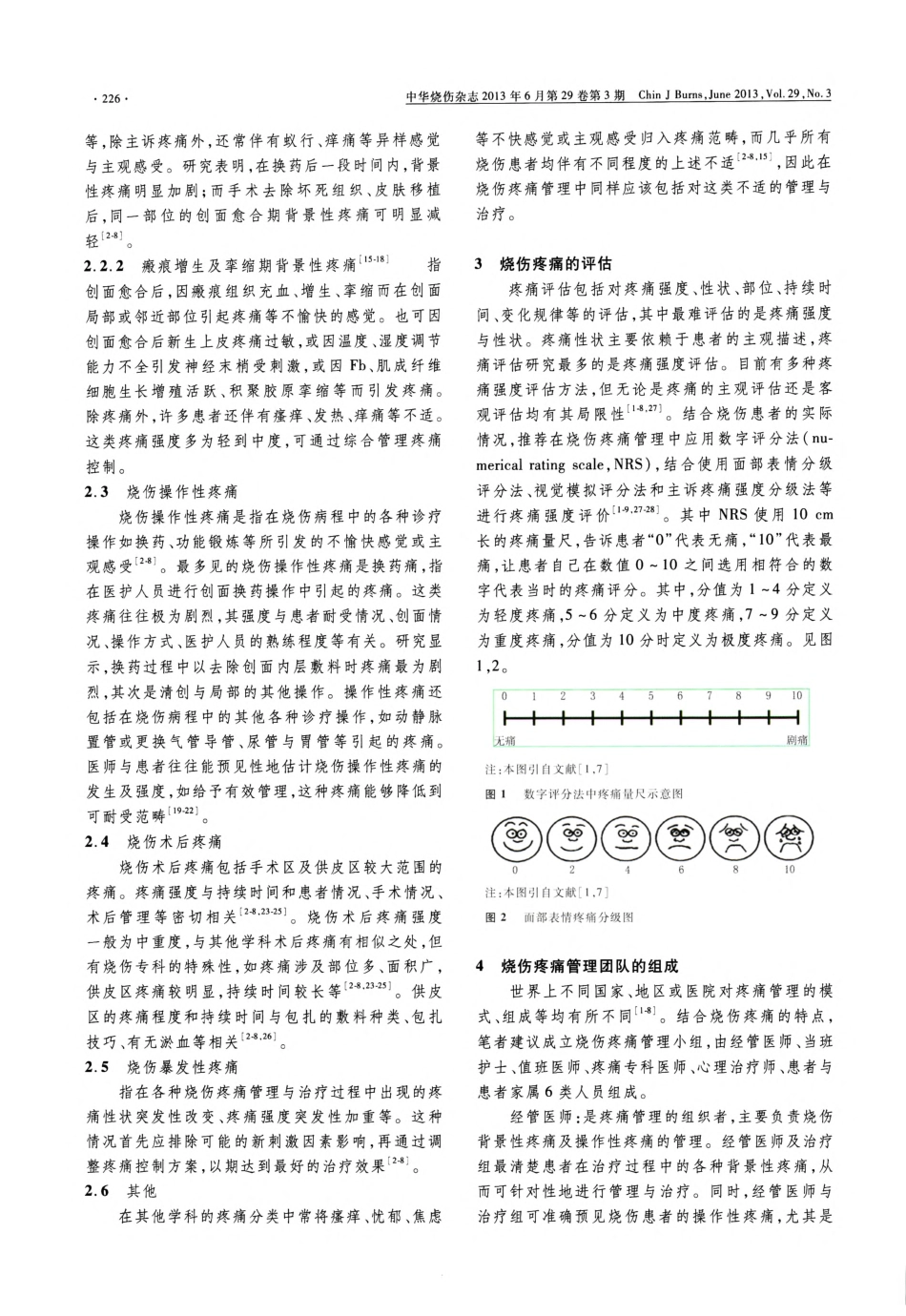 成人烧伤疼痛管理指南(2013版)_第2页