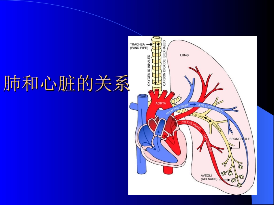 慢性肺原性心脏病的护理_第2页