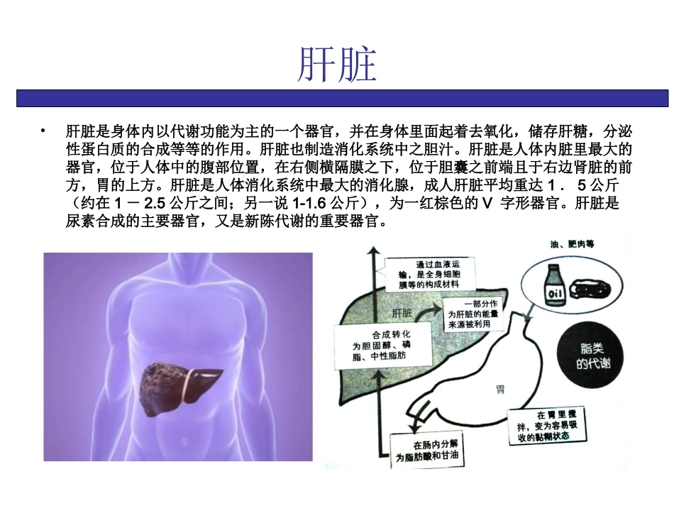 慢性病之肝病_郑州肝硬化治疗医院_第3页