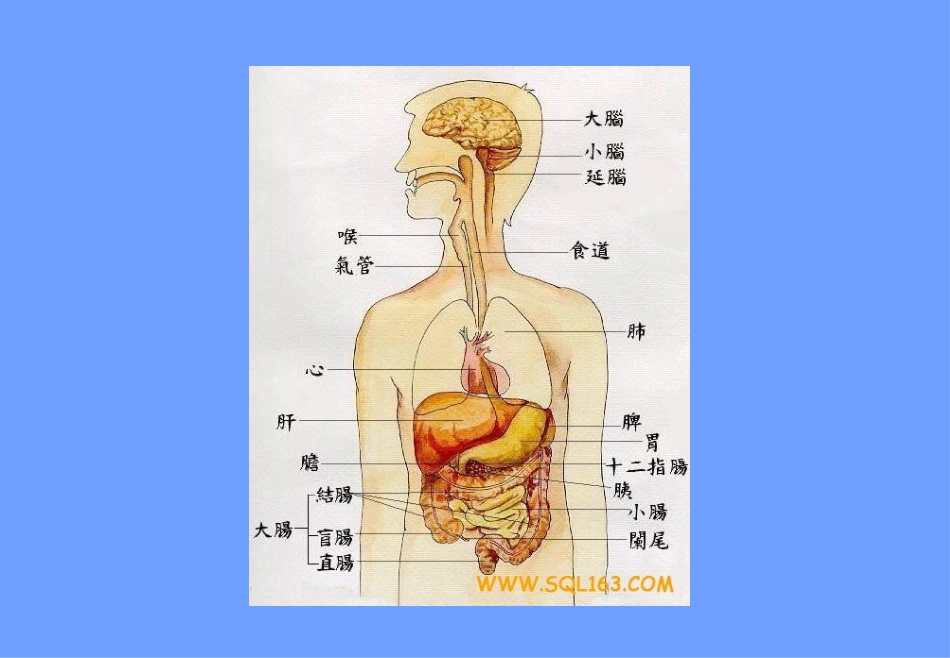 慢性乙型肝炎防治知识Ⅰ_第2页