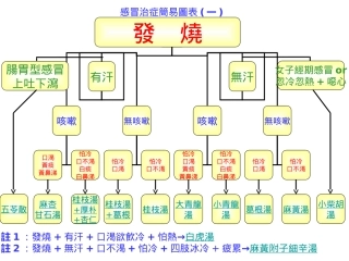 感冒治症简易图表