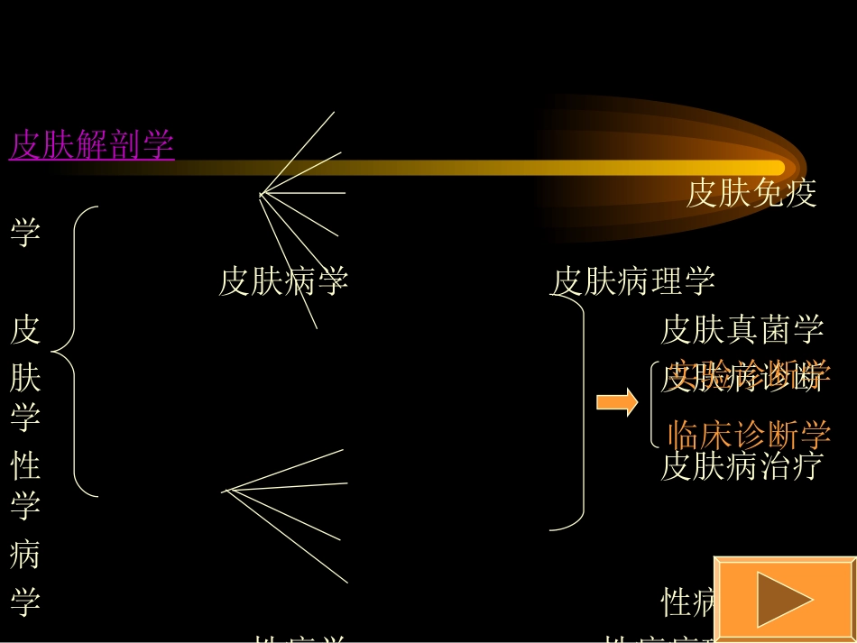 总论-皮肤性病学_第2页