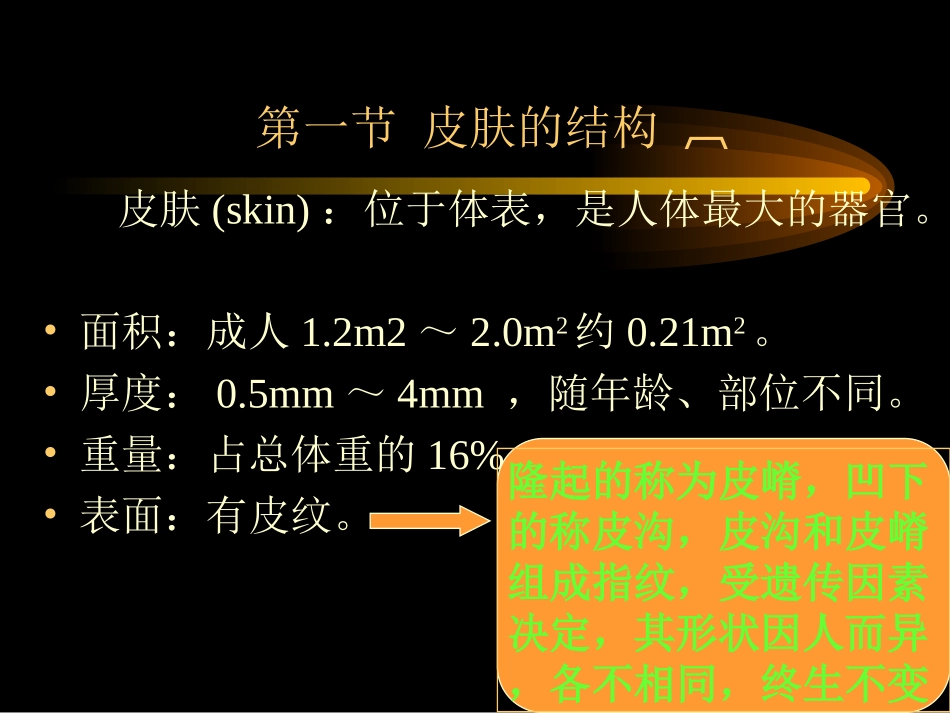 总论-皮肤性病学_第3页