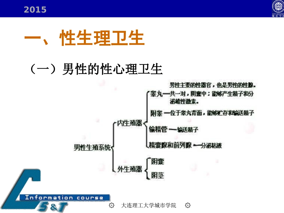 性与生殖健康基础知识_第3页