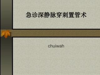 急诊深静脉穿刺置管术