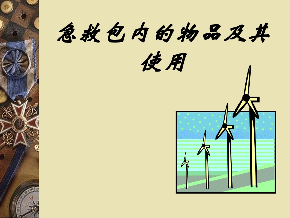 急救包内的物品及其使用_第1页