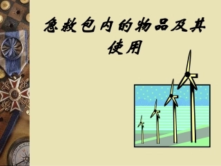 急救包内的物品及其使用
