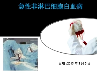 急性非淋巴细胞白血病PPT