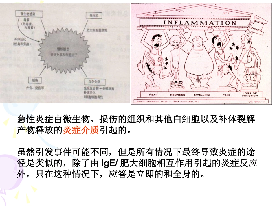 急性炎症应答_第3页
