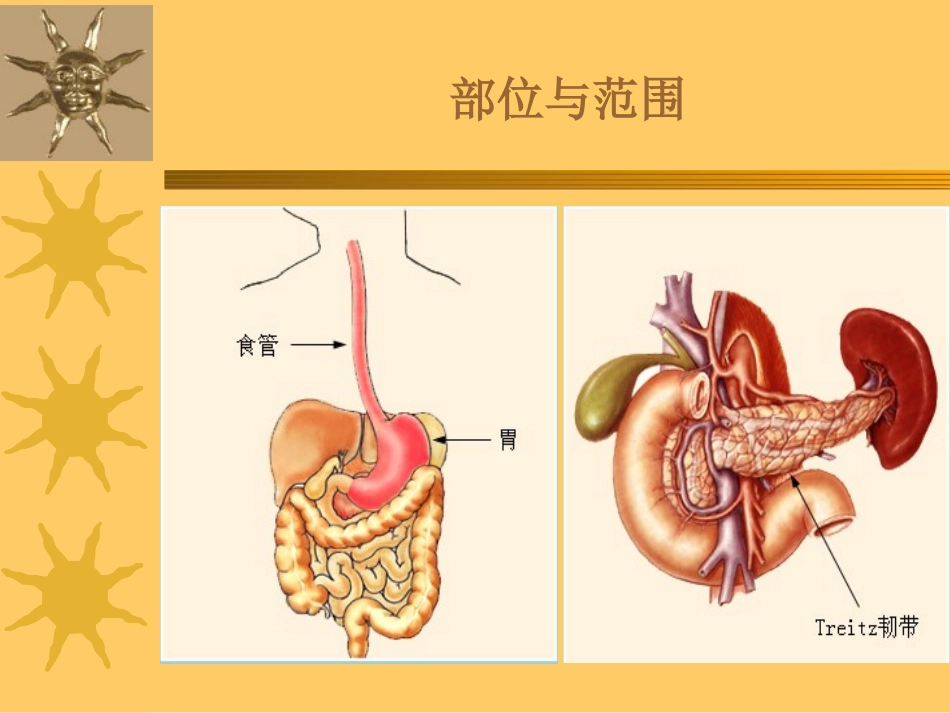 急性消化道大出血的监测及新进展_第3页
